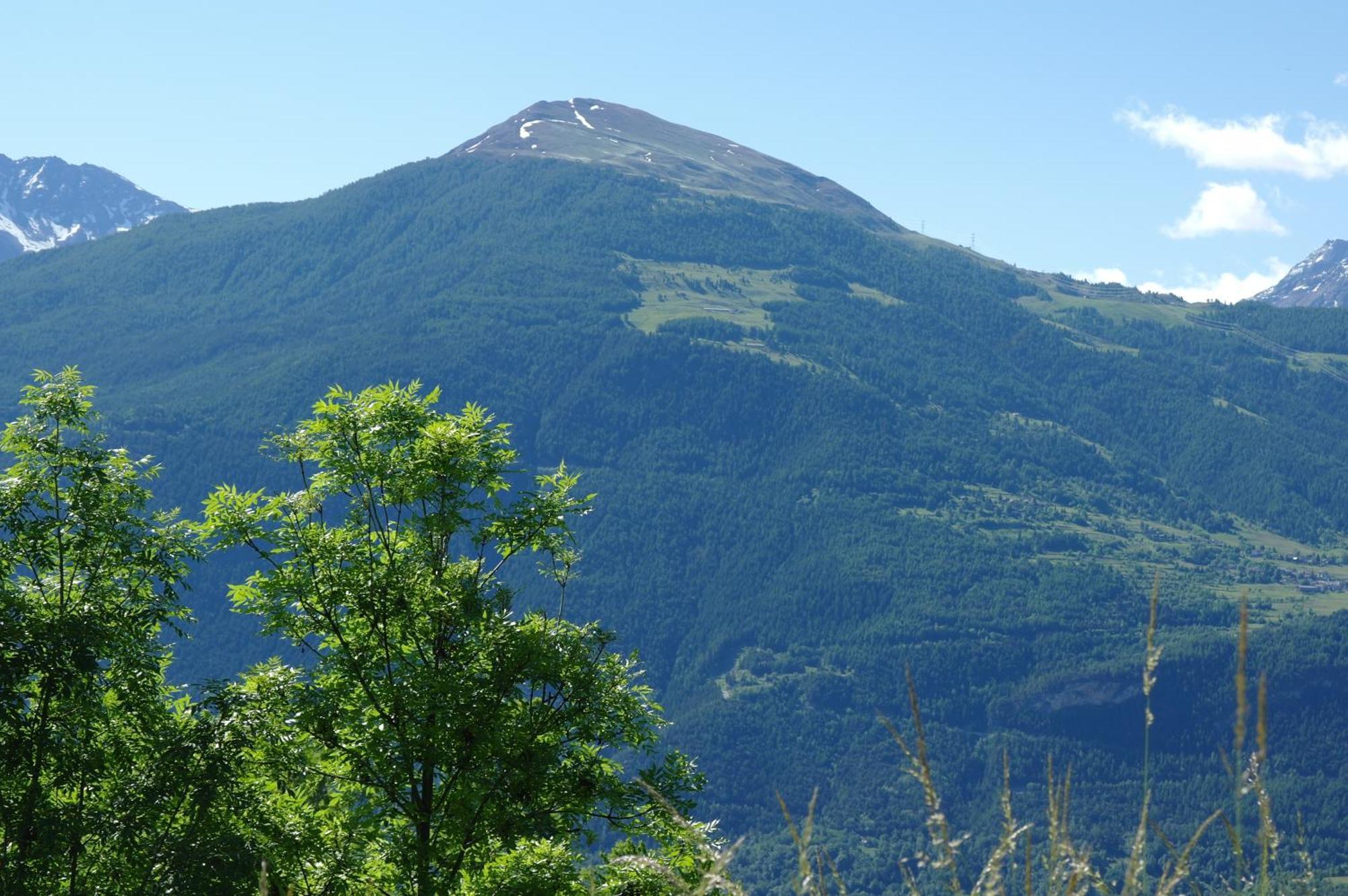 Le Vieux Noyer - Appartamenti Al Verde Villaggio Di Rumiod Saint-Pierre Bagian luar foto
