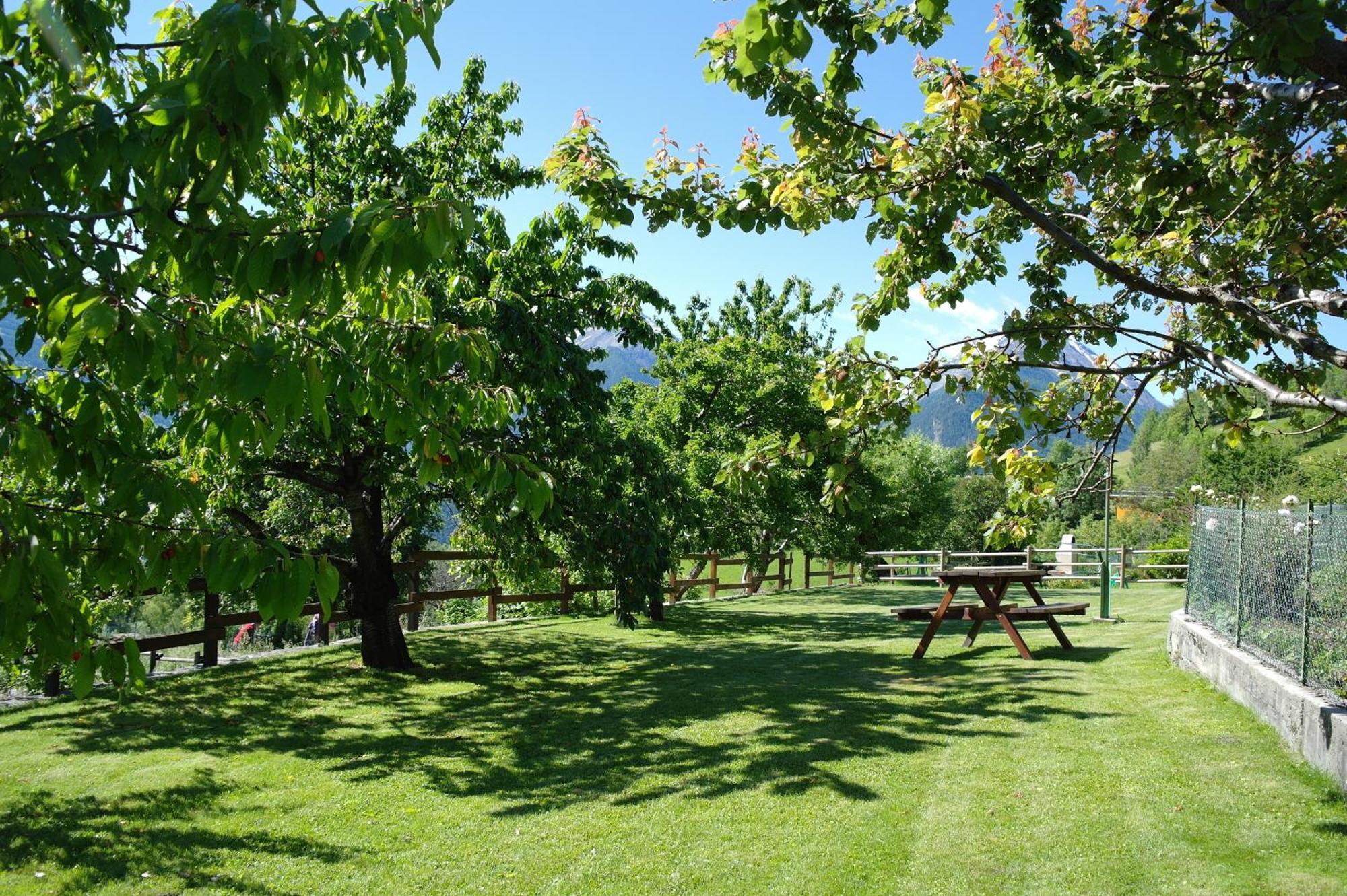 Le Vieux Noyer - Appartamenti Al Verde Villaggio Di Rumiod Saint-Pierre Bagian luar foto