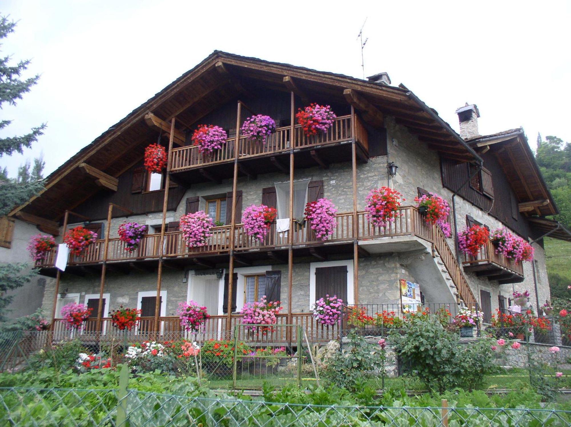 Le Vieux Noyer - Appartamenti Al Verde Villaggio Di Rumiod Saint-Pierre Bagian luar foto